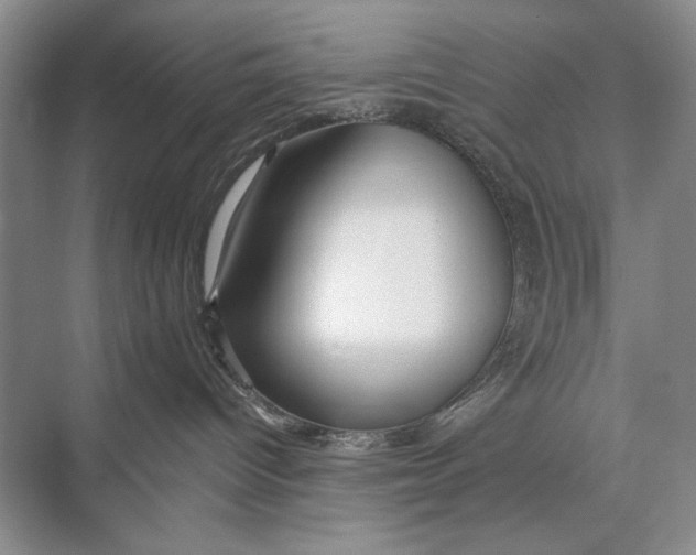 X0000074280096200609222254