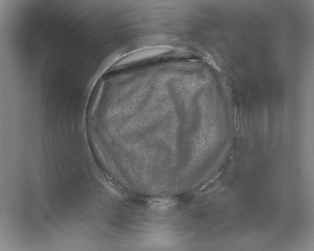 X0000074280099200609222253