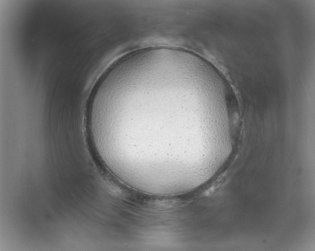 X0000074280103200609222253