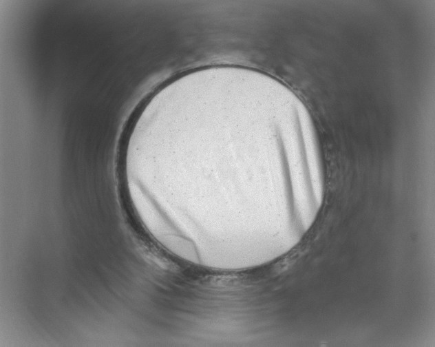 X0000074280104200609222253