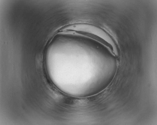 X0000074280107200609222253