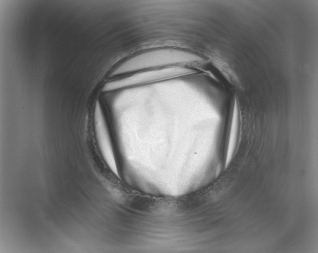 X0000074280110200609222253