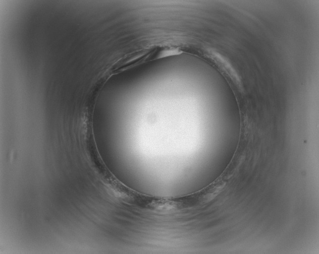 X0000074280113200609222253