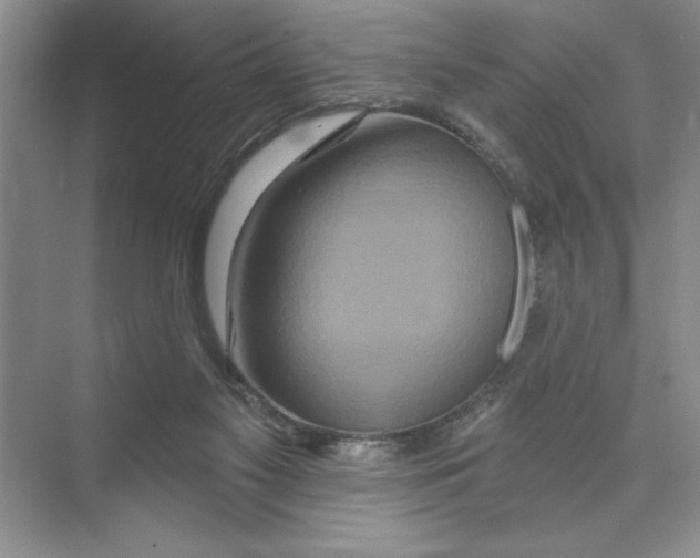 X0000074280117200609222253
