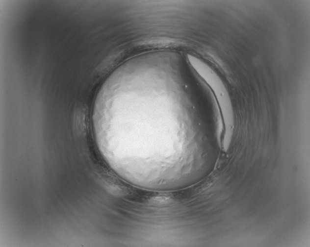 X0000074280119200609222253