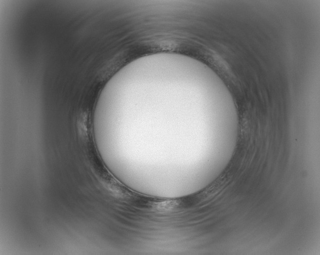 X0000074280122200609222253