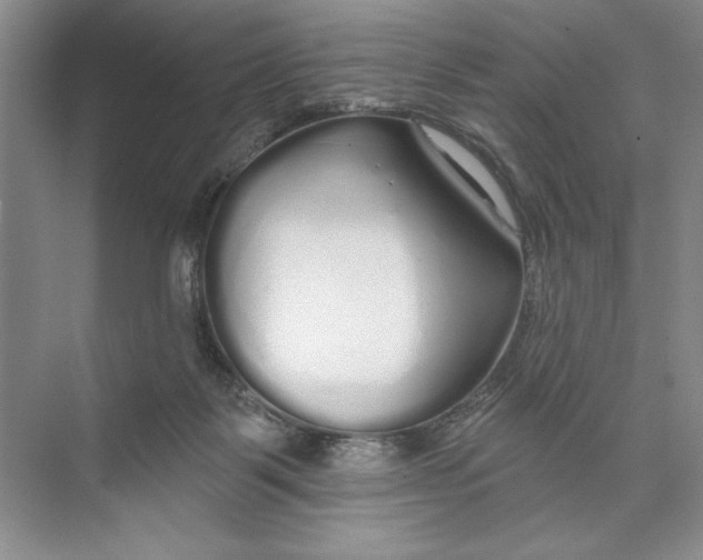 X0000074280123200609222253