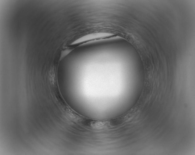 X0000074280129200609222253