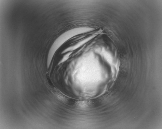 X0000074280131200609222253