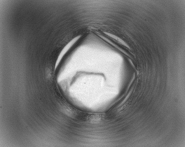 X0000074280134200609222253