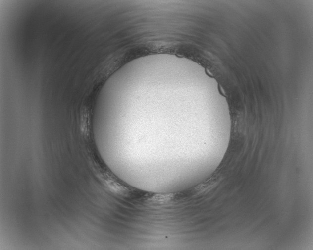 X0000074280138200609222253