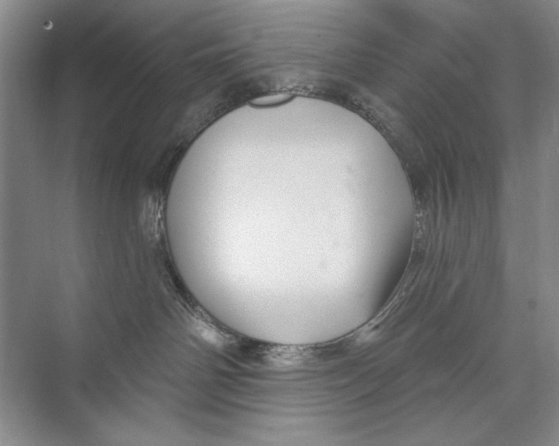 X0000074280142200609222253