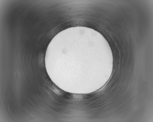 X0000074280144200609222253