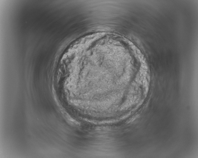 X0000074280145200609222252