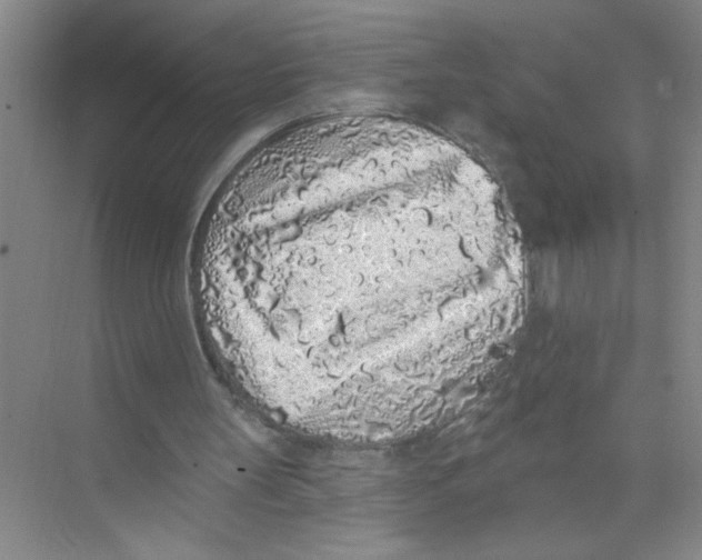 X0000074280147200609222252