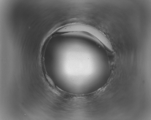 X0000074280150200609222252