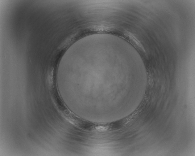 X0000074280163200609222252