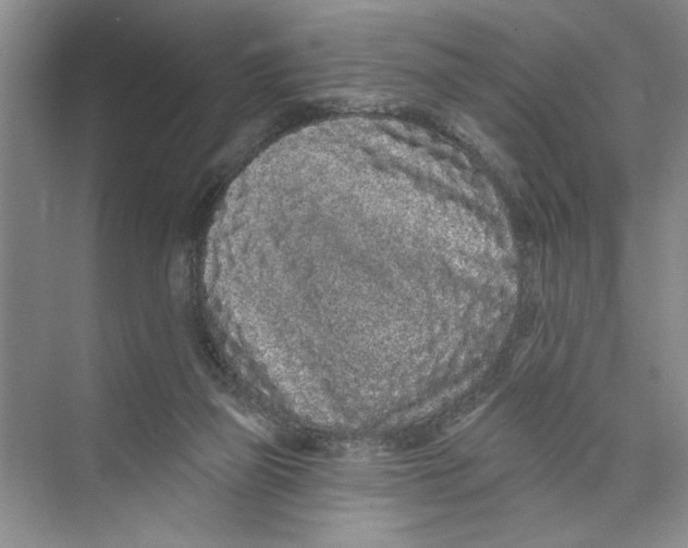 X0000074280165200609222252