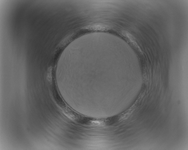 X0000074280167200609222252