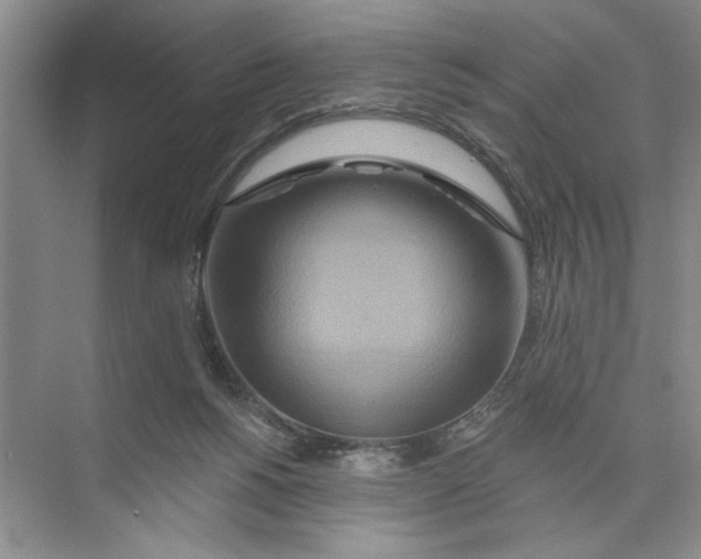 X0000074280168200609222252