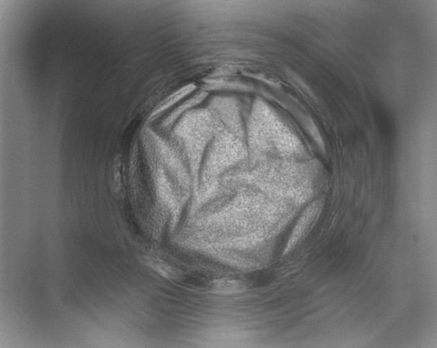 X0000074280169200609222252