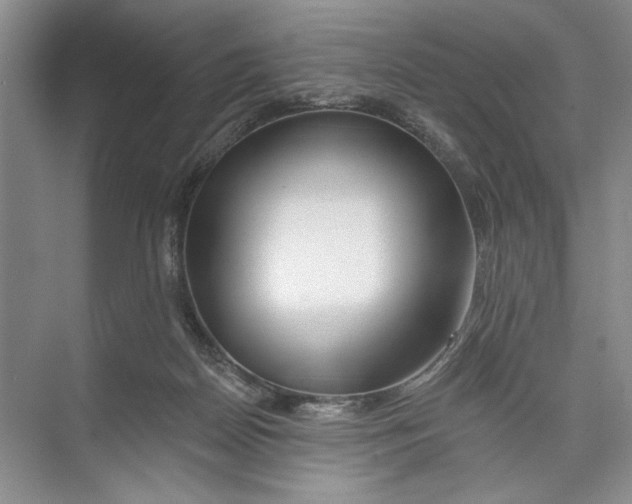 X0000074280170200609222252