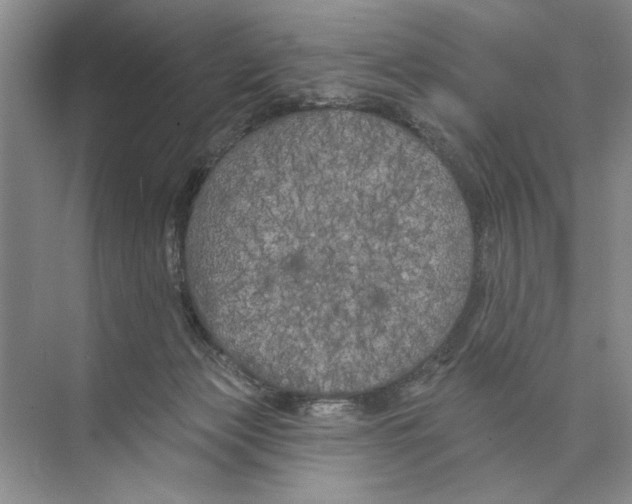 X0000074280173200609222252