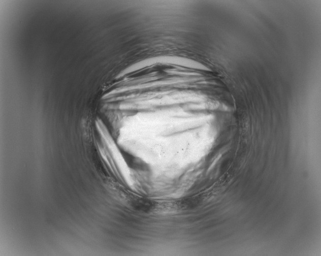 X0000074280177200609222252