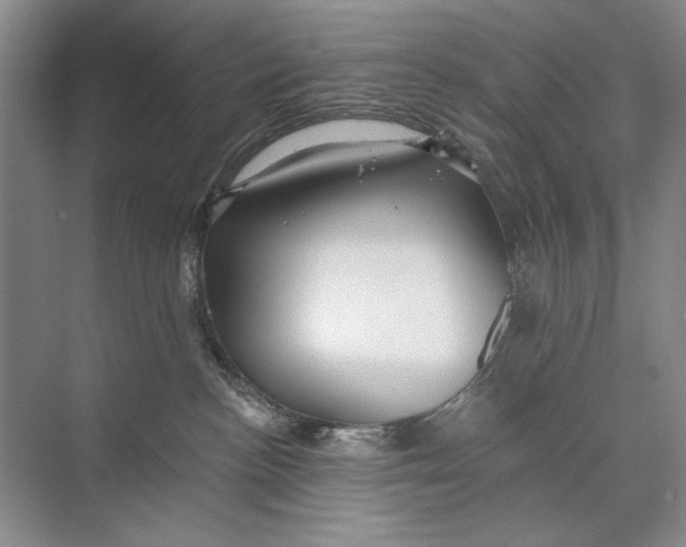 X0000074280188200609222253