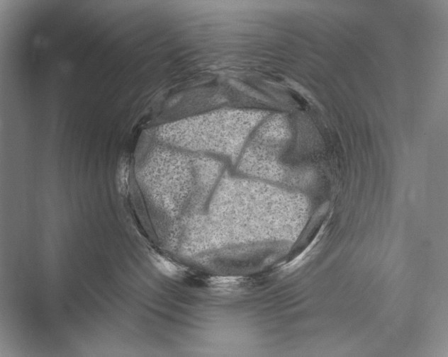 X0000074280192200609222253