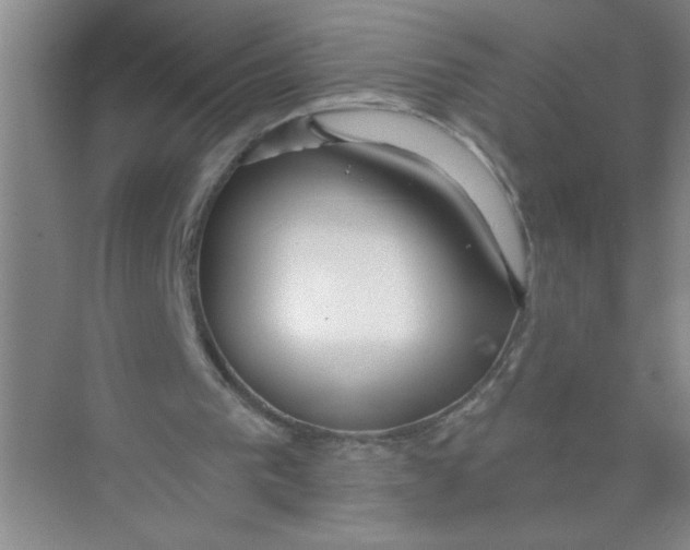 X0000074280193200609222252
