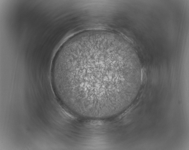 X0000074280195200609222252