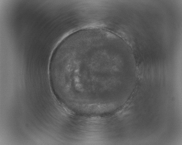 X0000074280196200609222252