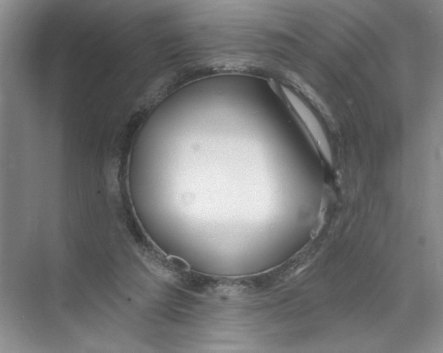 X0000074280209200609222252