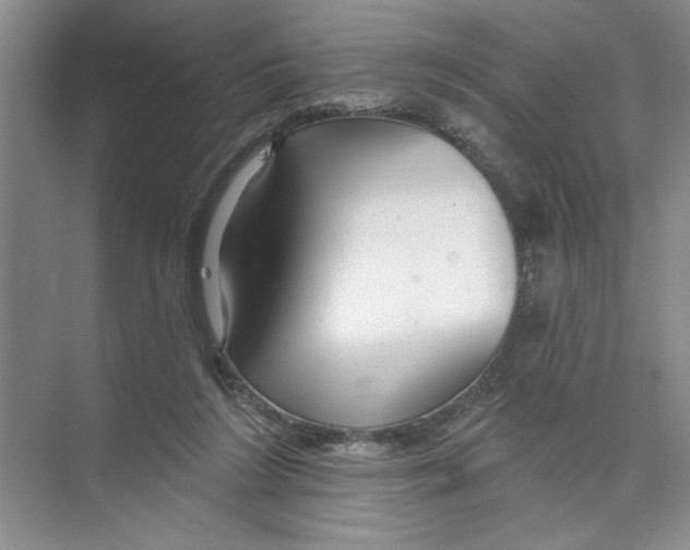 X0000074280212200609222252