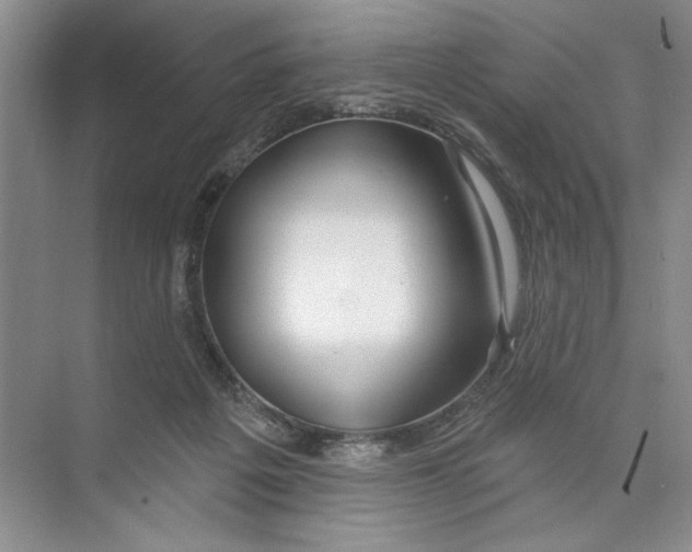 X0000074280217200609222251