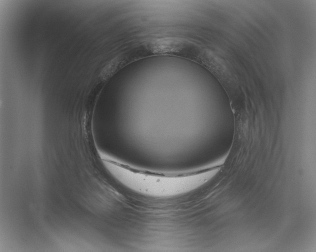 X0000074280219200609222251