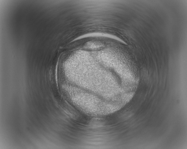 X0000074280222200609222251