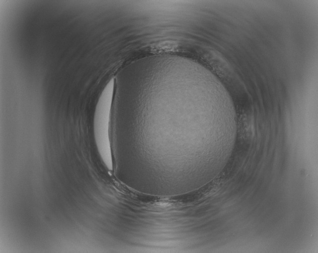 X0000074280224200609222251