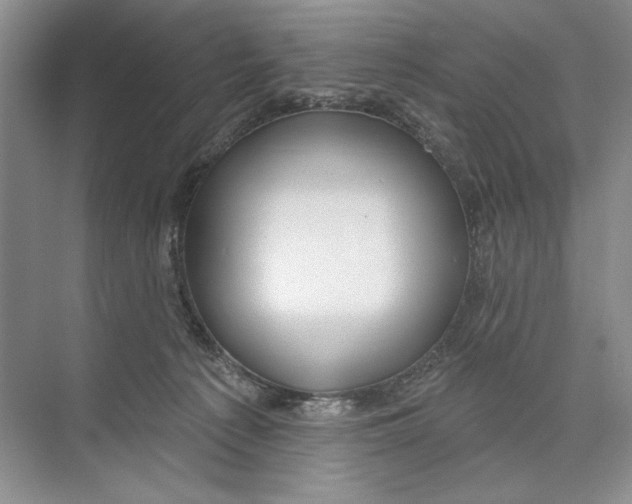 X0000074280225200609222251