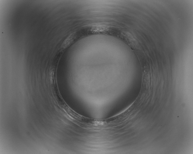 X0000074280227200609222251