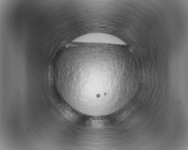 X0000074280228200609222251