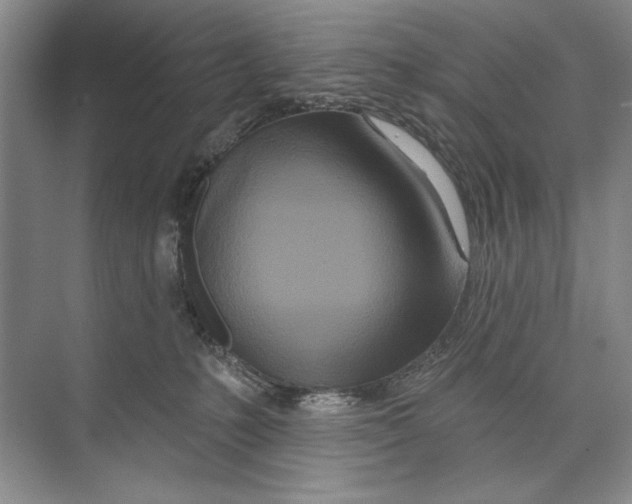 X0000074280231200609222251