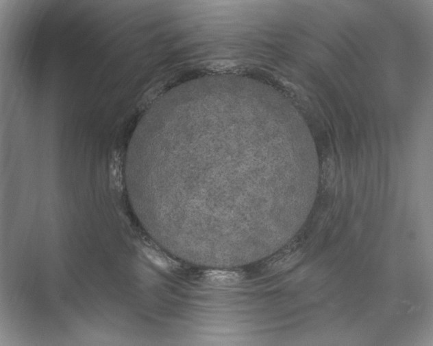 X0000074280234200609222251