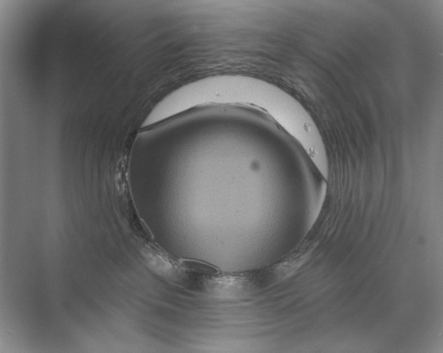 X0000074280237200609222251