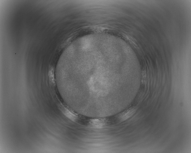 X0000074280238200609222251