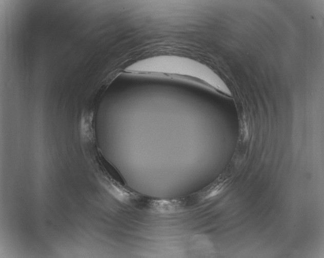 X0000074280239200609222251