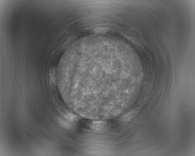 X0000074280240200609222251