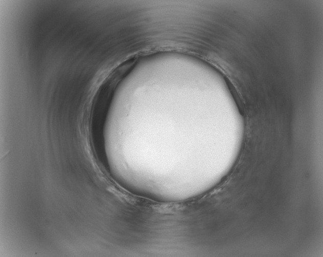 X0000074280241200609222250