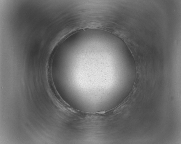 X0000074280242200609222250